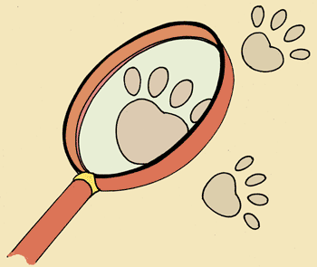 Paws
