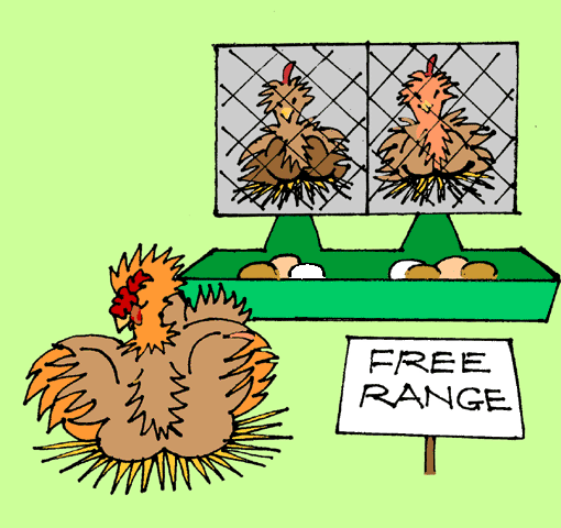 Hens