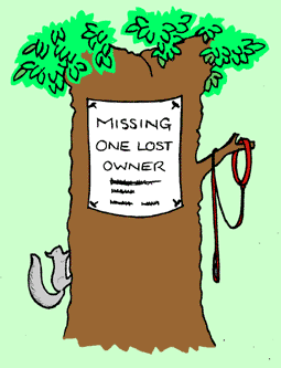 Lost Dog