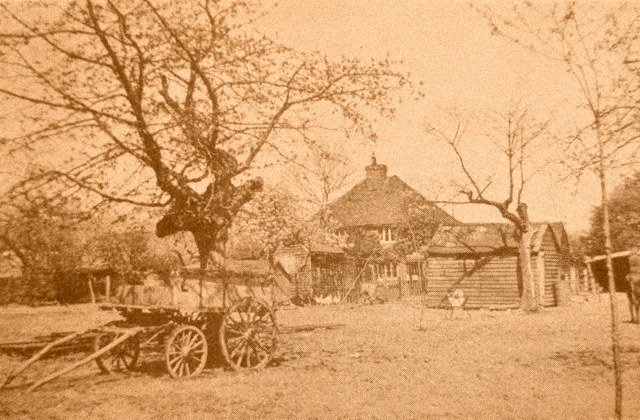 Dairy Cottage and orchard