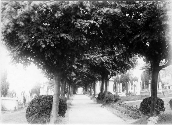 The Lime Avenue, Cemetery