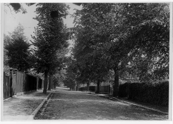 Rectory Avenue