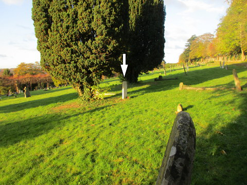 CWGC grave for V Wilkes