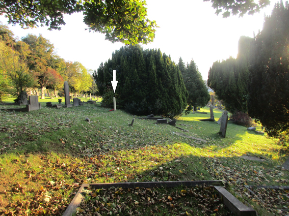 CWGC grave for C Rose