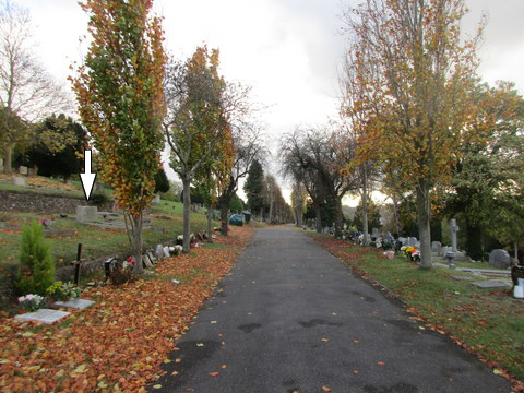 Hatton plot