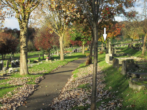 Wilson plot