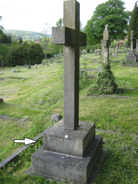  Thurlow plot