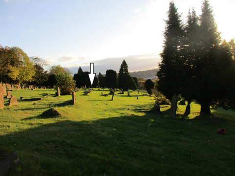 Newman plot