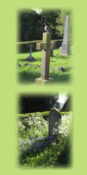 Cemetery pictures