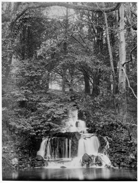 The cascade