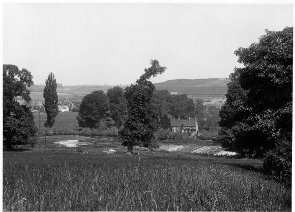 View across fields to house